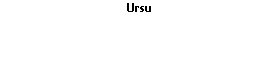 Text Box: Ursu